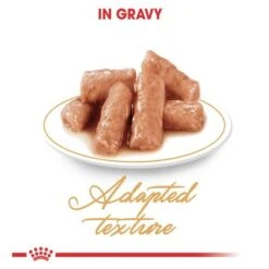 Royal Canin British Shorthair Cat Food 85g - Pack Of 12 -Pet Products Store royalcaninbritishshorthaircatfood85gpackof12 3