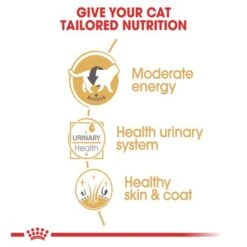 Royal Canin British Shorthair Cat Food 85g - Pack Of 12 -Pet Products Store royalcaninbritishshorthaircatfood85gpackof12 4