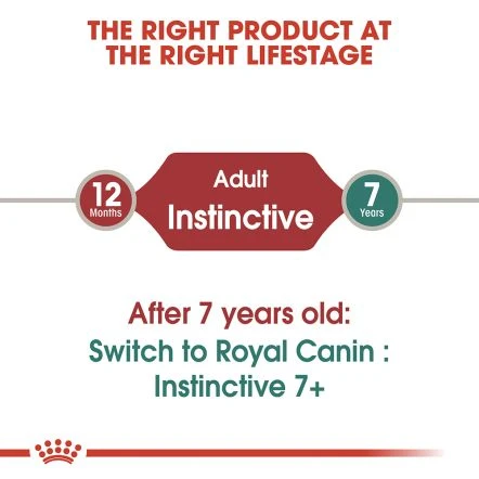 Royal Canin Instinctive Adult Cat Food Pouch 85g X 12 Pcs 4 Royal Canin Instinctive Adult Cat Food Pouch 85g X 12 Pcs - Image 2