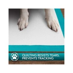 Simple Solution Dog Training Pads -Pet Products Store simplesolutiondogtrainingpad 14pads 6 1