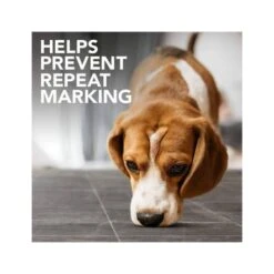 Simple Solution Extreme-Dog Stain And Odor Remover, 500 Ml -Pet Products Store simplesolutionextreme dogstainandodorremover 500ml 4