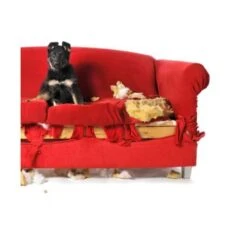 Simple Solution Puppy Chew Stopper, 500ml -Pet Products Store simplesolutionpuppychewstopper500ml 3