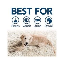 Simple Solution Stain And Odour Remover For Cats 7 Simple Solution Stain And Odour Remover For Cats -Pet Products Store simplesolutionstainodourremoverforcats 1liter 5 1