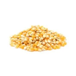 Spectrum Starter32 Kitten Food - 400 G -Pet Products Store spectrumstarter32kittenfood 400g 4