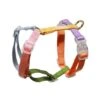 Tinklylife Easy Walk Dog Harness - Rainbow -Pet Products Store tinklylife easy walk dog harness rainbow xxsmall 1