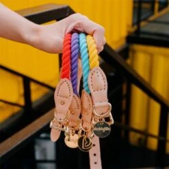 Tinklylife Rainbow Dog Collar -Pet Products Store tinklyliferainbowdogcollar small 9