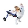 Walkin Wheels Wheelchair For Mini Dogs - Blue 2 Walkin Wheels Wheelchair For Mini Dogs - Blue -Pet Products Store walkin wheels mini wheelchair for dogs blue 4