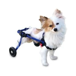 Walkin Wheels Wheelchair For Mini Dogs - Blue