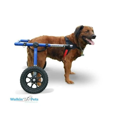 Walkin Wheels Wheelchair For Large Dogs- Blue 3 Walkin Wheels Wheelchair For Large Dogs- Blue