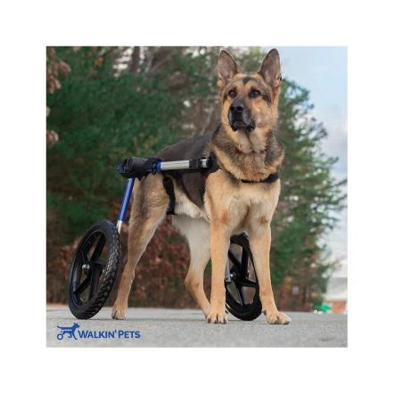 Walkin Wheels Wheelchair For Large Dogs- Blue 5 Walkin Wheels Wheelchair For Large Dogs- Blue - Image 3