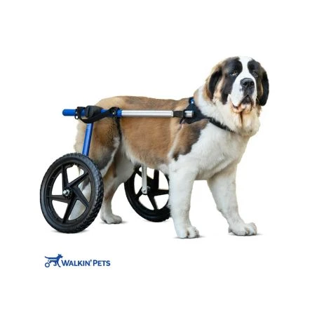 Walkin Wheels Wheelchair For Large Dogs- Blue 6 Walkin Wheels Wheelchair For Large Dogs- Blue - Image 4