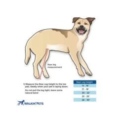 Walkin Wheels Wheelchair For Large Dogs- Blue 14 Walkin Wheels Wheelchair For Large Dogs- Blue -Pet Products Store walkinwheelswheelchairforlargedogs blue 4