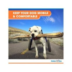 Walkin Wheels Wheelchair For Large Dogs- Blue 15 Walkin Wheels Wheelchair For Large Dogs- Blue -Pet Products Store walkinwheelswheelchairforlargedogs blue 5