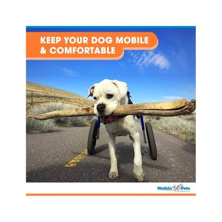 Walkin Wheels Wheelchair For Large Dogs- Blue 8 Walkin Wheels Wheelchair For Large Dogs- Blue - Image 6