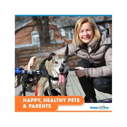 Walkin Wheels Wheelchair For Large Dogs- Blue 9 Walkin Wheels Wheelchair For Large Dogs- Blue - Image 7