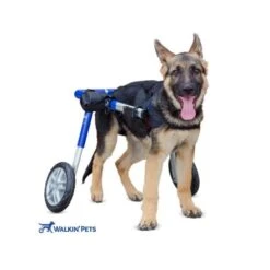 Walkin Wheels Wheelchair For Medium Dogs - Blue -Pet Products Store walkinwheelswheelchairformediumdogs blue 3