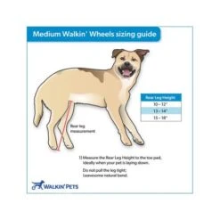 Walkin Wheels Wheelchair For Medium Dogs - Blue -Pet Products Store walkinwheelswheelchairformediumdogs blue 4