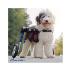 Walkin Wheels Wheelchair For Medium Dogs - Blue -Pet Products Store walkinwheelswheelchairformediumdogs blue 5