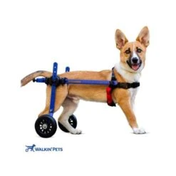 Walkin Wheels Wheelchair For Mini Dogs - Blue -Pet Products Store walkinwheelswheelchairforminidogs blue 2