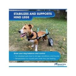 Walkin Wheels Wheelchair For Mini Dogs - Blue -Pet Products Store walkinwheelswheelchairforminidogs blue 4
