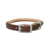 Weaver Pet Bridle Leather Rolled Dog Collar - Brown - 3/4W X 17L Inch 1 Weaver Pet Bridle Leather Rolled Dog Collar - Brown - 3/4W X 17L Inch -Pet Products Store weaverpetbridleleatherrolleddogcollar brown 34wx17linch 1
