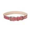 Weaver Pet Deck Dog Collar - Coral -Pet Products Store weaverpetdeckdogcollar coral 1 2