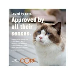 Wellness Core Signature Selects Shredded Boneless Chicken Entree Flavoured With Chicken Liver In Sauce Canned Cat Food - 79g - Pack Of 24 -Pet Products Store wellnesscoresignatureselectsbonelesschickenentreewithchickenliverwetcatfood 79g 5