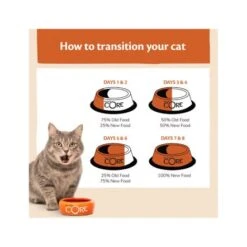 Wellness Core Signature Selects Shredded Boneless Chicken Entree Flavoured With Chicken Liver In Sauce Canned Cat Food - 79g - Pack Of 24 -Pet Products Store wellnesscoresignatureselectsbonelesschickenentreewithchickenliverwetcatfood 79g 6