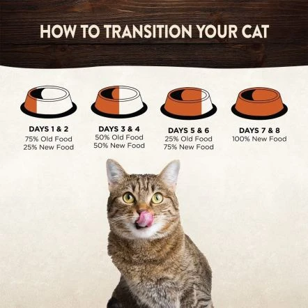 Wellness CORE Tender Cuts With Chicken & Chicken Liver For Cat - 85g - Pack Of 8 5 Wellness CORE Tender Cuts With Chicken & Chicken Liver For Cat - 85g - Pack Of 8 - Image 3