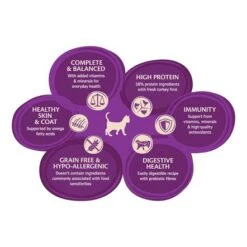 Wellness CORE Turkey And Chicken Recipe Dry Kitten Food - 1.75 Kg -Pet Products Store wellnesscoreturkeyandsalmonrecipedrykittenfood1.75kg 3