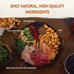 Wellness CORE Turkey And Chicken Recipe Dry Kitten Food - 1.75 Kg -Pet Products Store wellnesscoreturkeyandsalmonrecipedrykittenfood1.75kg 4