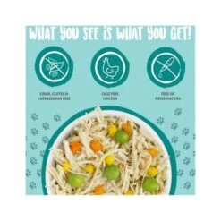 Weruva Funky Chunky Chicken Soup With Pumpkin Wet Cat Food -85g - Pack Of 24 -Pet Products Store weruvafunkychunkychickensoupwithpumpkinwetcatfood 85gpackof24 2