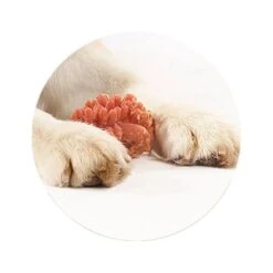 Whimzees Hedgehog Grain Free Dental Dog Treats Large, 6 Count -Pet Products Store whimzeeshedgehoggrainfreedentaldogtreatslarge6count 3