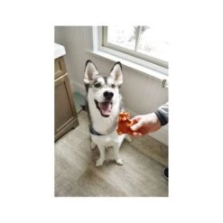 Whimzees Hedgehog Grain Free Dental Dog Treats Large, 6 Count -Pet Products Store whimzeeshedgehoggrainfreedentaldogtreatslarge6count 5