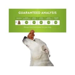 Whimzees Hedgehog Grain Free Dental Dog Treats Large, 6 Count -Pet Products Store whimzeeshedgehoggrainfreedentaldogtreatslarge6count 7