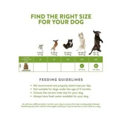 Whimzees Hedgehog Grain Free Dental Dog Treats Large, 6 Count -Pet Products Store whimzeeshedgehoggrainfreedentaldogtreatslarge6count 8