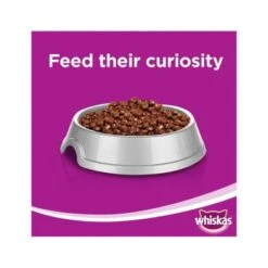 Whiskas Mince Lamb Turkey & Veg - 400g - Pack Of 24 9 Whiskas Mince Lamb Turkey & Veg - 400g - Pack Of 24 -Pet Products Store whiskasmincelambturkeyveg400gpackof24 3
