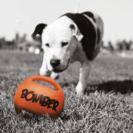 Zeus Bomber Ball - 17.8 Cm 4 Zeus Bomber Ball - 17.8 Cm - Image 2