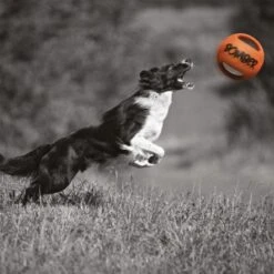 Zeus Bomber Ball - 17.8 Cm 10 Zeus Bomber Ball - 17.8 Cm -Pet Products Store zeusbomberball 17.8cm 4